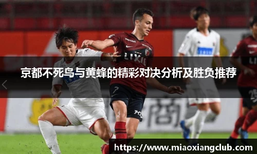 京都不死鸟与黄蜂的精彩对决分析及胜负推荐